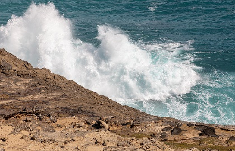 231208 Cape Bridgewater AU Petrified Forest   2019   0760